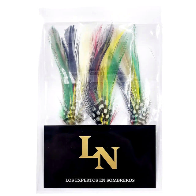3 Coquena Feathers