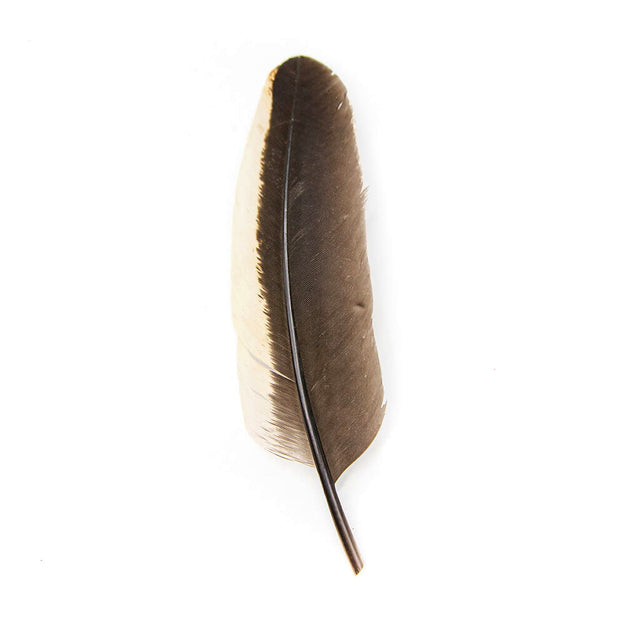 Rooster Feather White And Black