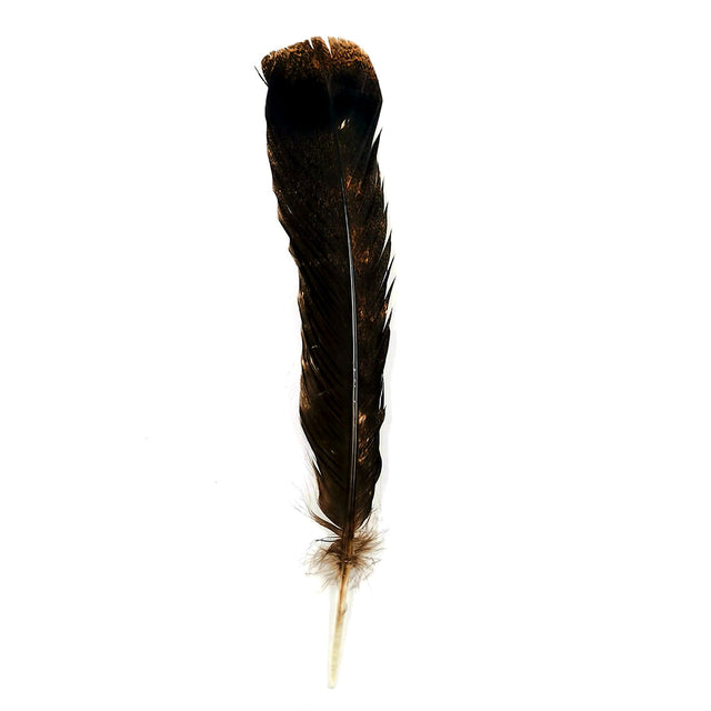 Turkey Feather