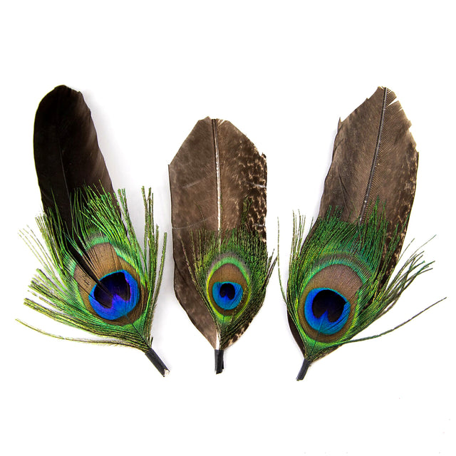 Long Peacock Feather