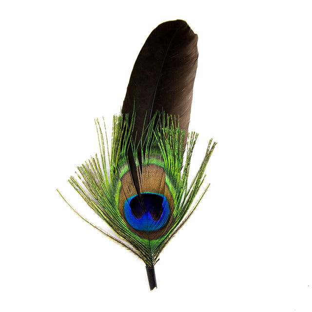 Long Peacock Feather
