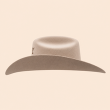 Bull Ranch 5x Estilo John Dutton Silverbelly