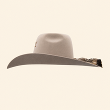 Bull Ranch 5x Estilo Walker