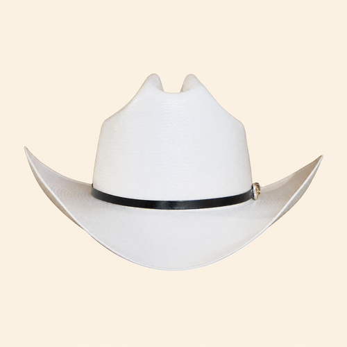 Dieztro 1000x Joan Sebastian Shantung