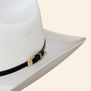 Dieztro 1000x Joan Sebastian Shantung