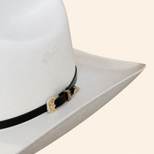 Dieztro 1000x Joan Sebastian Shantung