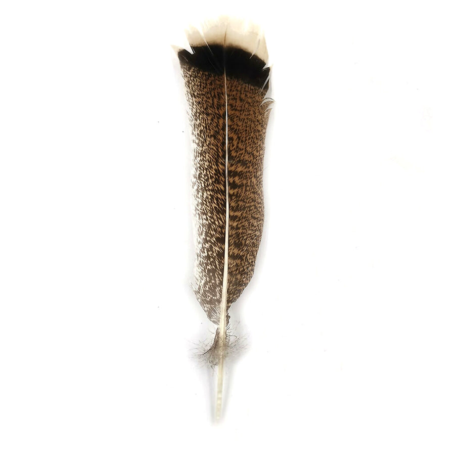 Pluma de Pavo