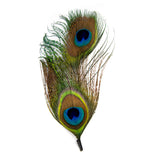 Pluma de Pavo Real Doble