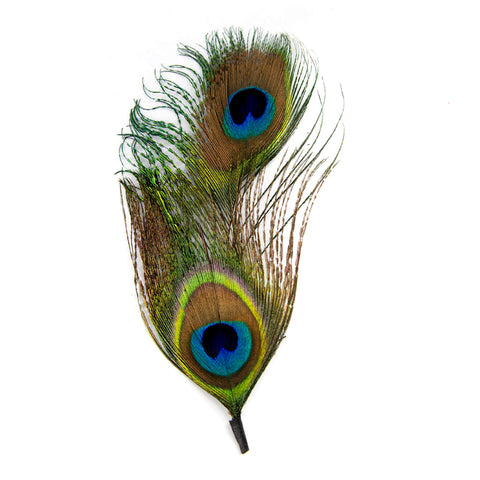 Pluma de Pavo Real Doble