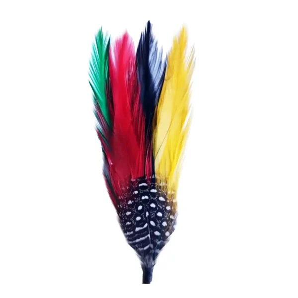 Pluma de Coquena