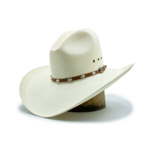 Stetson 10X Rolling Hills Natural