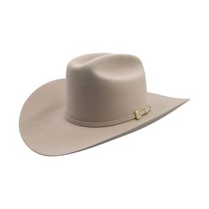 Stetson-6x-Guadalupana-Silverbelly-