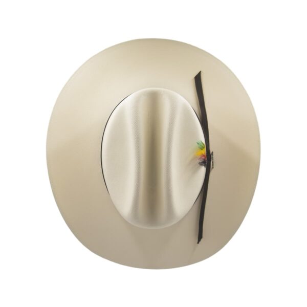 Sombrero de carin leon