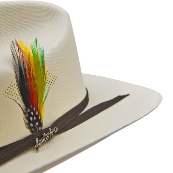Sombrero de carin leon