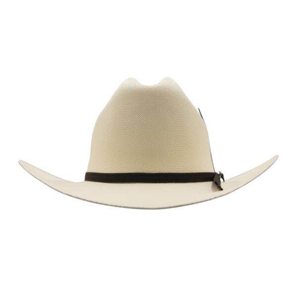 Sombrero de carin leon