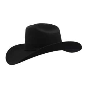 tejana texana sombrero de joan sebastian
