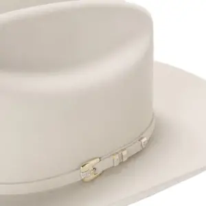 Stetson Diamante 1000x Silverbelly